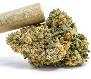 LA Beatnik Preroll | 1 oz | 30.35% TAC 2.30% Terpenes