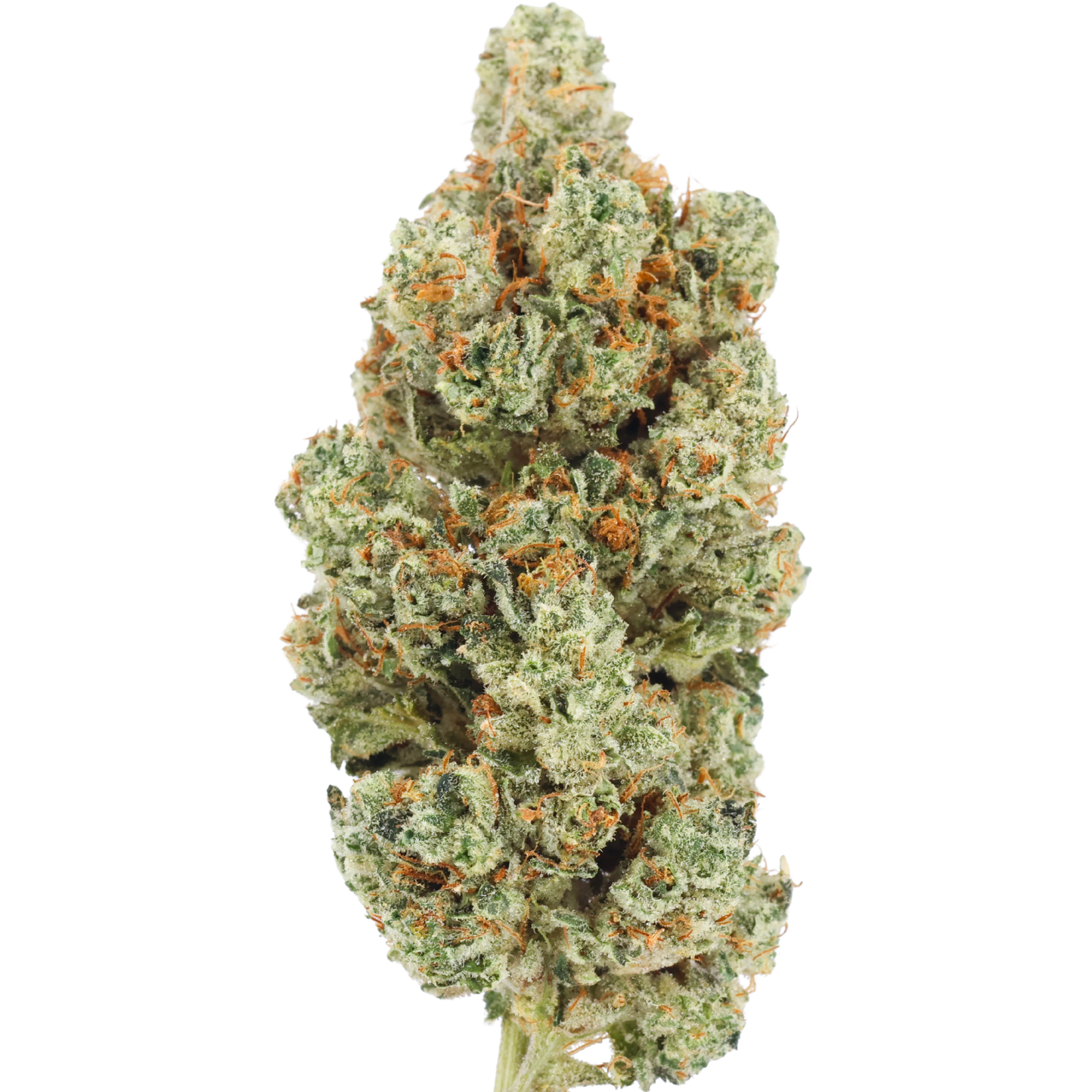 GORILLA OG|1 Ounce