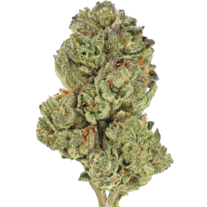 Cookies and Cream| 1 Ounce