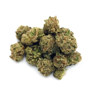 Georgia Runtz | 1 oz.
