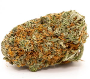 Girl Scout Cookies Hybrid Strains