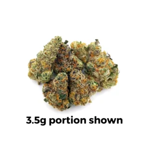 Governmint Oasis | 1 oz.