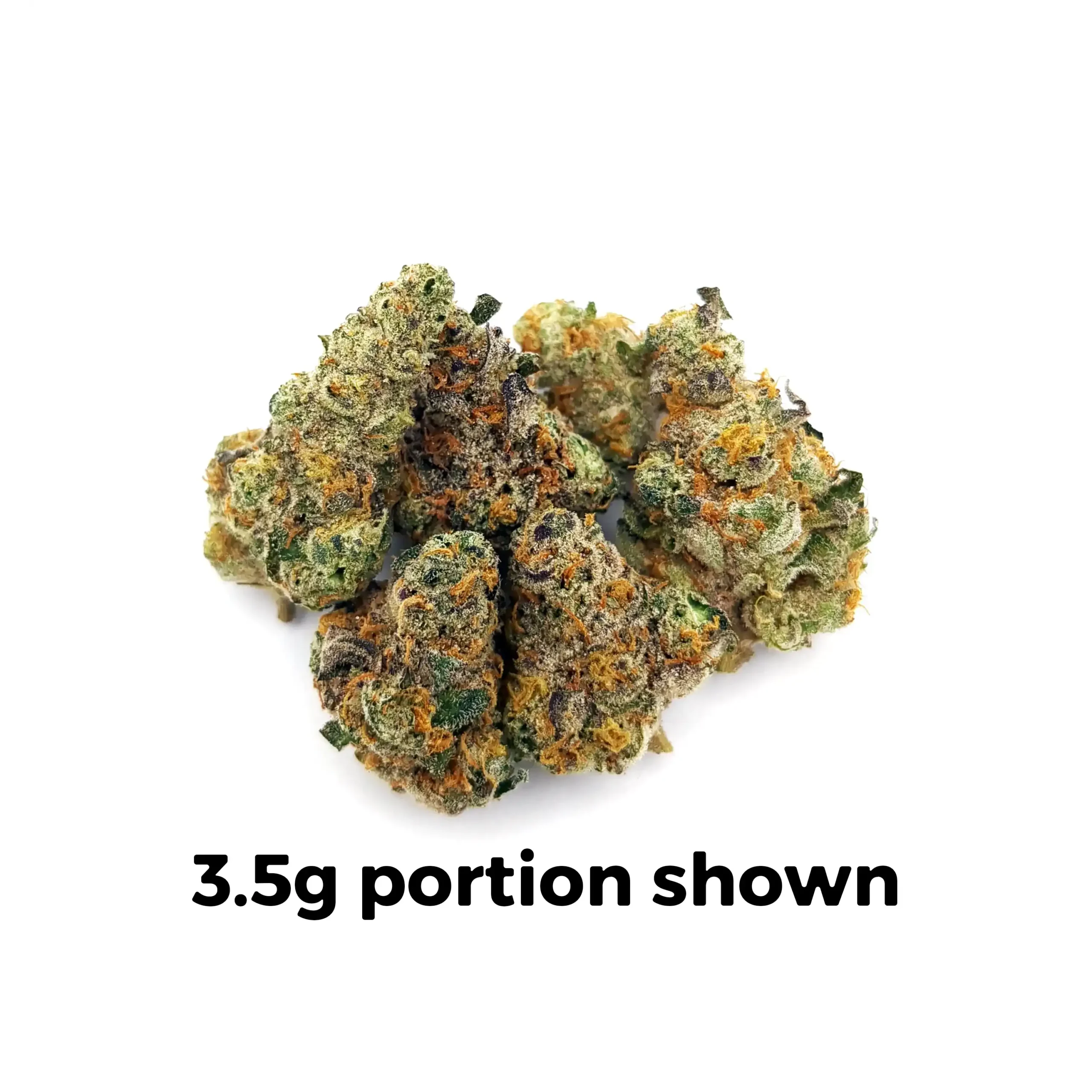 Governmint Oasis | 1 oz.