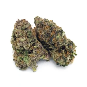 Grape Bubblegum | 1/ oz.