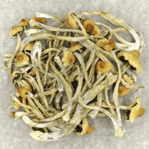 Huatla Magic Mushrooms 35g