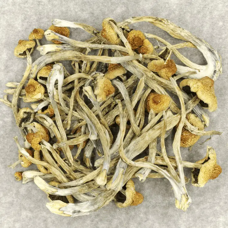 Huatla Magic Mushrooms 35g