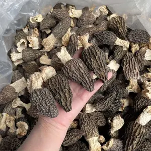 Morel Mushrooms: oz